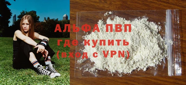 прущие грибы Абинск