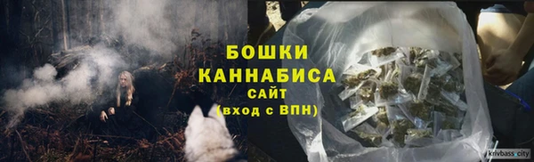 гидра Абаза