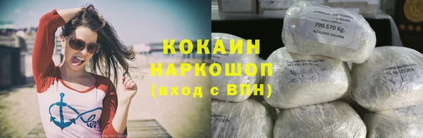 прущие грибы Нефтекумск