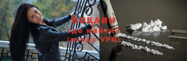 гидра Абаза
