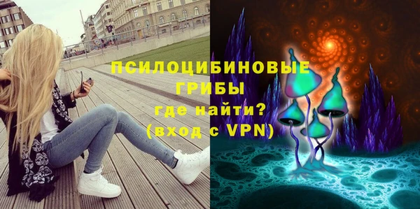 гидра Абаза