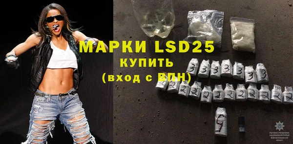 прущие грибы Абинск