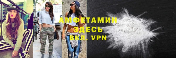 гидра Абаза