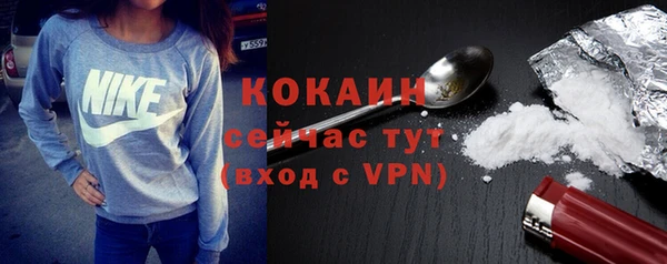 прущие грибы Абинск