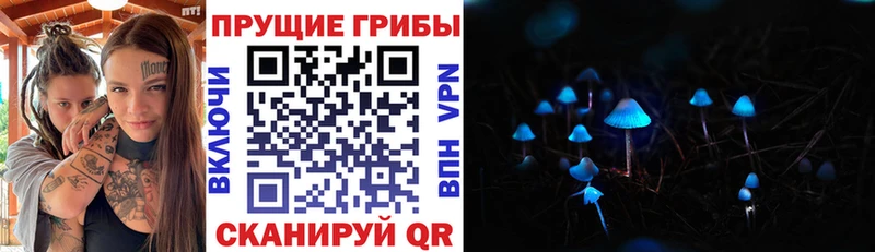 купить закладку Разумное Псилоцибиновые грибы Cubensis